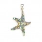 Ezüst medál csiszolt kagylóval. Tengericsillag